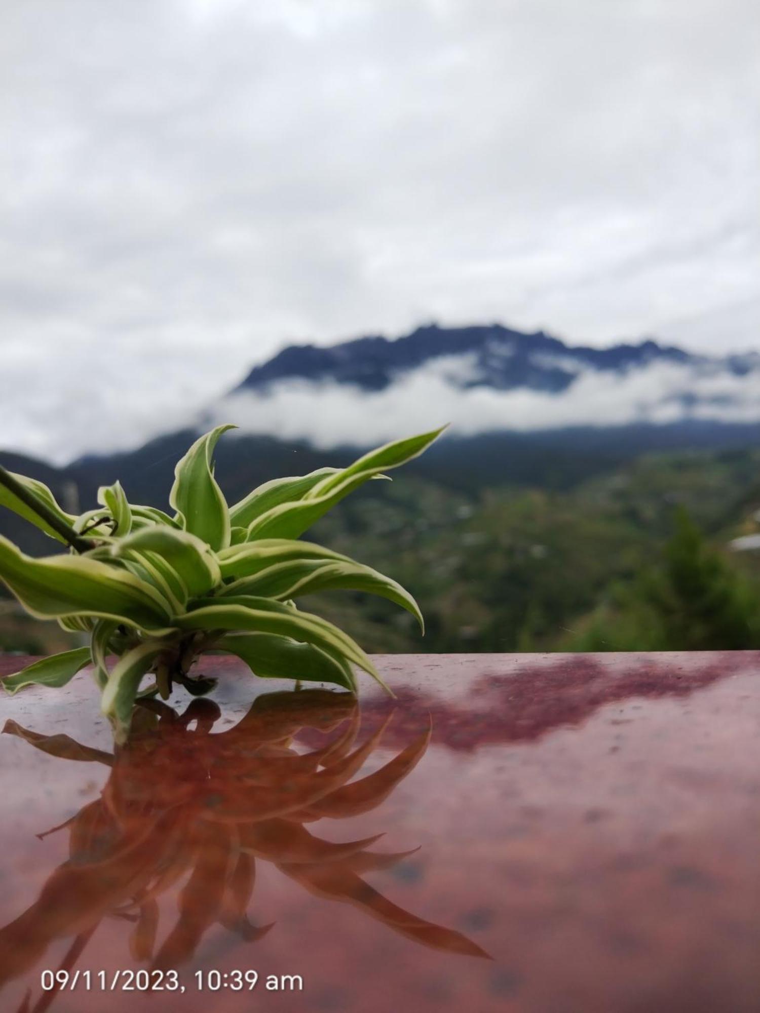 Highland Homestay Kundasang Ranau Extérieur photo